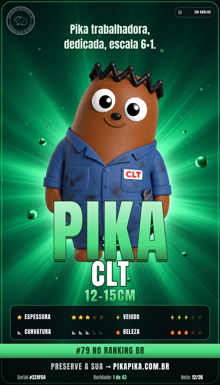 Pika PP-2Z4FG4
